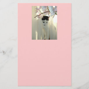 Black and White Cat Stationery