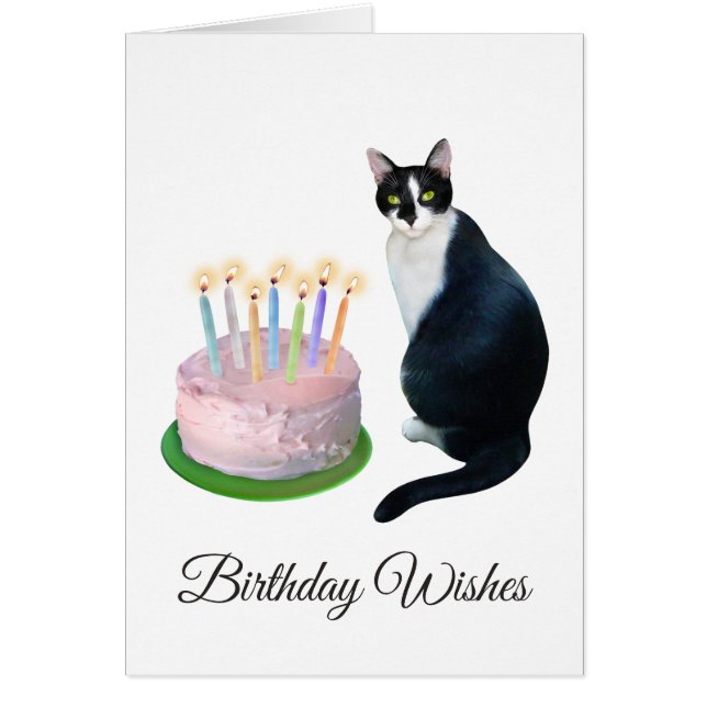 Black and White Cat with Cake Birthday Card (Front)