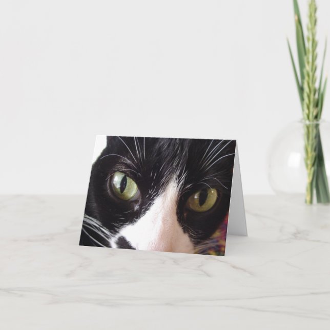 Black and White Cat with Green Eyes Note Card (Front)