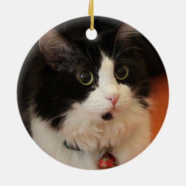 Black and White Cat with Round Eyes Ceramic Tree Decoration (Back)