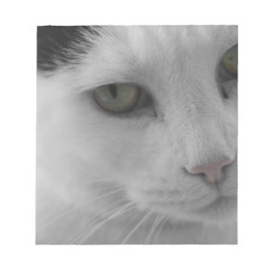 Black and white cats face notepad