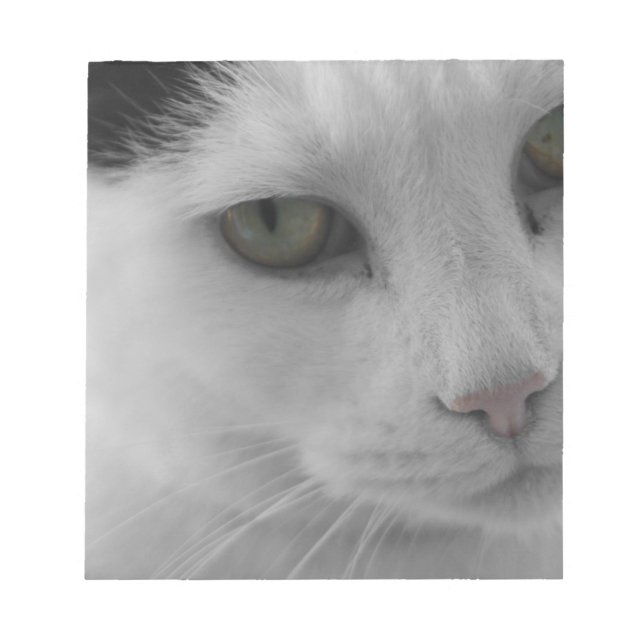 Black and white cats face notepad (Front)