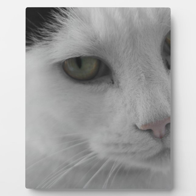 Black and white cats face plaque (Front)