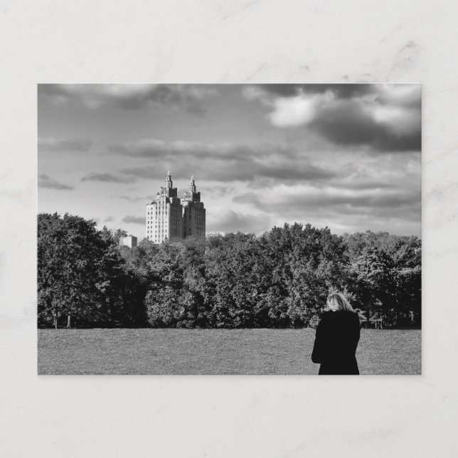 Black and White Central Park Landscape Photo Postcard (Front)