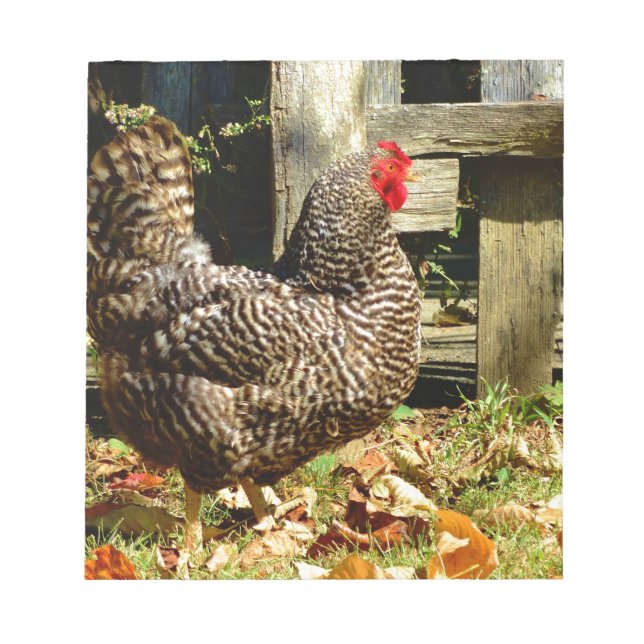Black and white Chicken Notepad (Front)