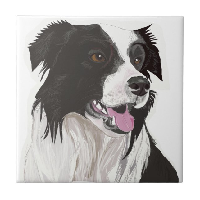 black and white collie brown eyes  tile (Front)