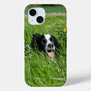 Black and White Collie in Grass iPhone 15 Case