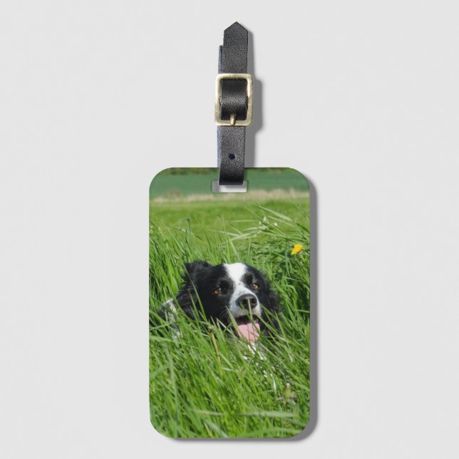 Black and White Collie in Grass Luggage Tag (Front Vertical)