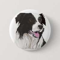Black and White Collie with Brown eyes