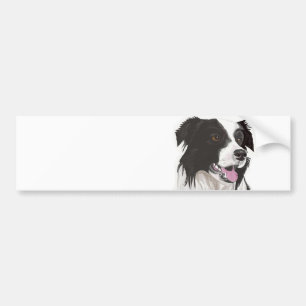 Black and White Collie with Brown eyes Bumper Stic Sticker