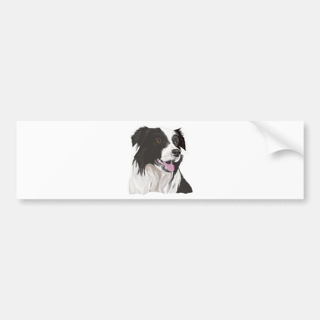 Black and White Collie with Brown eyes Bumper Sticker (Front)