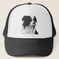 Black and White Collie with Brown eyes