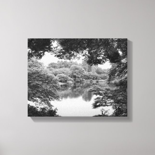 Black and white, cool, unique nature and lake canvas print (Front)