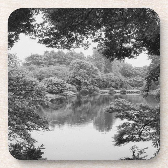 Black and white, cool, unique nature and lake coaster (Front)