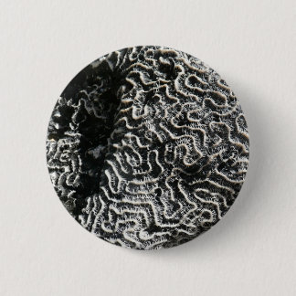Black and White Coral I Abstract Nature Photo 6 Cm Round Badge