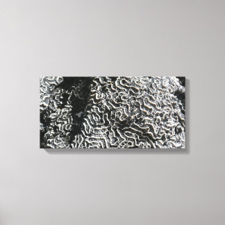 Black and White Coral I Abstract Nature Photo Canvas Print