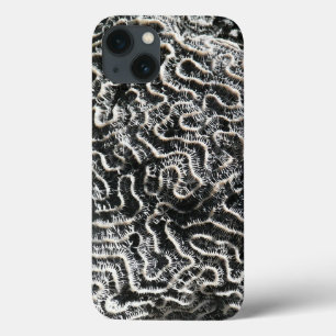 Black and White Coral I Abstract Nature Photo iPhone 13 Case