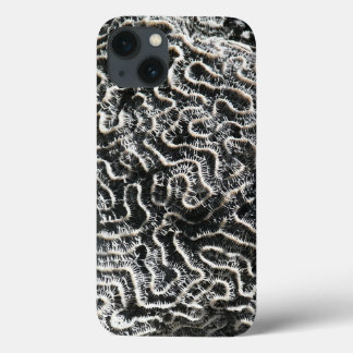 Black and White Coral I Abstract Nature Photo iPhone 13 Case