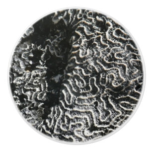 Black and White Coral I Abstract Nature Photo Ceramic Knob