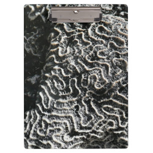 Black and White Coral I Abstract Nature Photo Clipboard