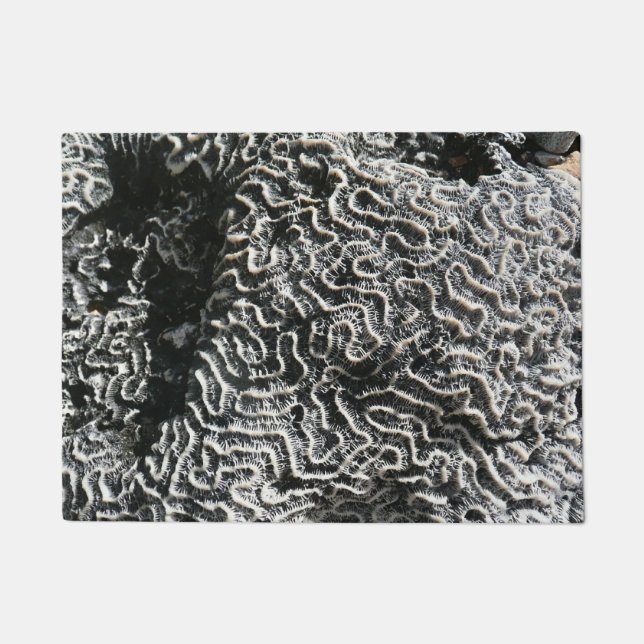 Black and White Coral I Abstract Nature Photo Doormat (Front)
