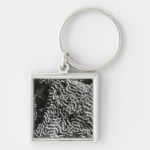 Black and White Coral I Abstract Nature Photo Key Ring