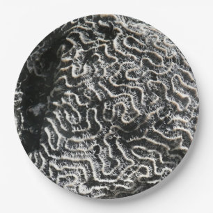 Black and White Coral I Abstract Nature Photo Paper Plate