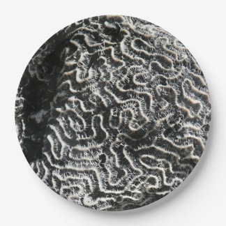 Black and White Coral I Abstract Nature Photo Paper Plate