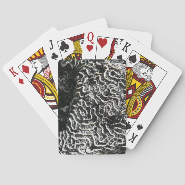 Black and White Coral I Abstract Nature Photo Playing Cards (Back)