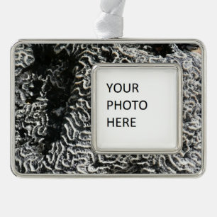 Black and White Coral I Abstract Nature Photo Silver Plated Framed Ornament