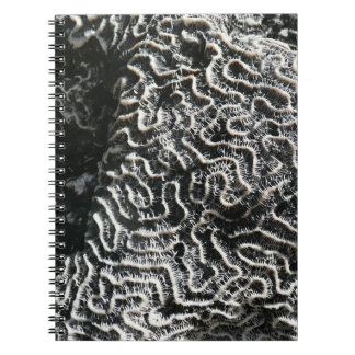 Black and White Coral I Abstract Nature Photo Spiral Notebook