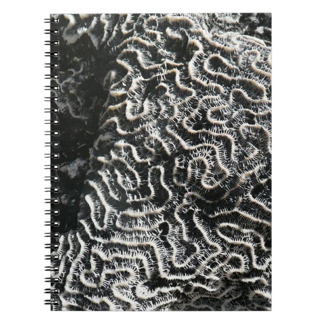 Black and White Coral I Abstract Nature Photo Spiral Notebook (Front)