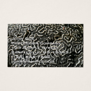 Black and White Coral II Abstract Nature Photo