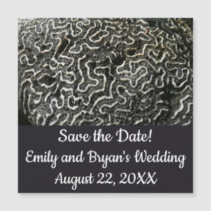 Black and White Coral II Abstract Nature Photo