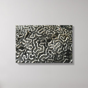 Black and White Coral II Abstract Nature Photo Canvas Print