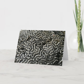 Black and White Coral II Abstract Nature Photo Card