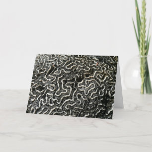 Black and White Coral II Abstract Nature Photo Card