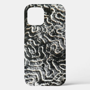 Black and White Coral II Abstract Nature Photo iPhone 12 Case