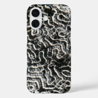 Black and White Coral II Abstract Nature Photo