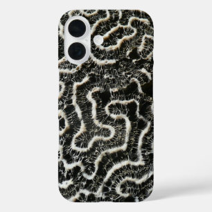 Black and White Coral II Abstract Nature Photo iPhone 16 Case