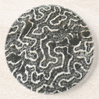 Black and White Coral II Abstract Nature Photo Coaster