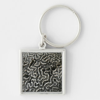 Black and White Coral II Abstract Nature Photo Key Ring