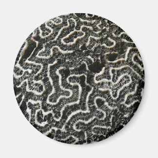 Black and White Coral II Abstract Nature Photo Magnet