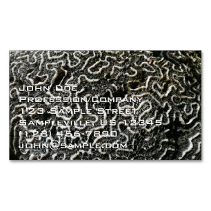 Black and White Coral II Abstract Nature Photo Magnetic Business Card