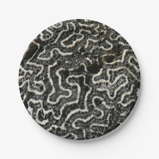 Black and White Coral II Abstract Nature Photo Paper Plate