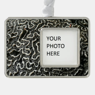 Black and White Coral II Abstract Nature Photo Silver Plated Framed Ornament