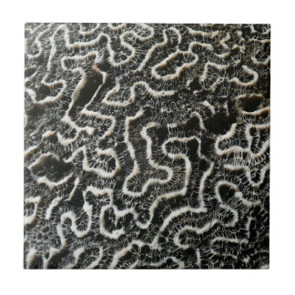 Black and White Coral II Abstract Nature Photo Tile