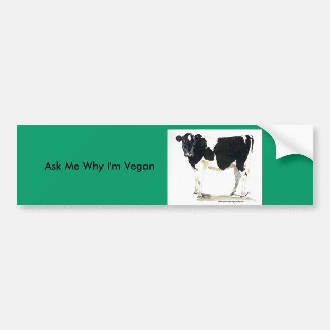 black and white cow bumper sticker (Front)
