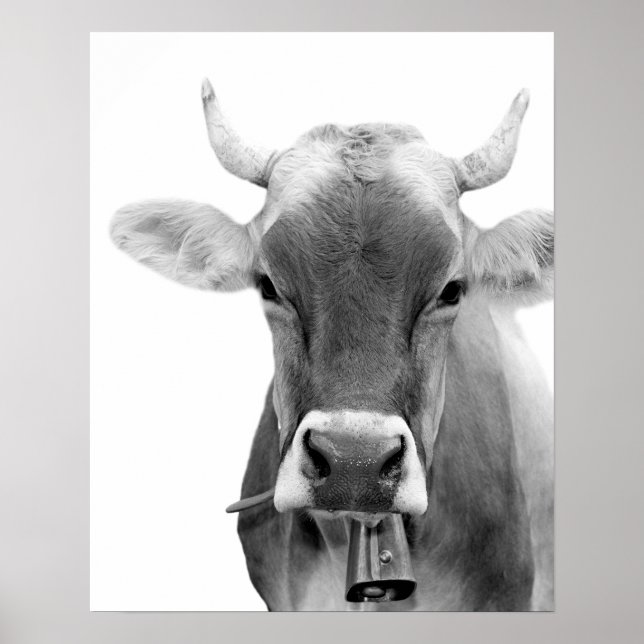 Black and white cow farm animal livestock photo poster (Front)