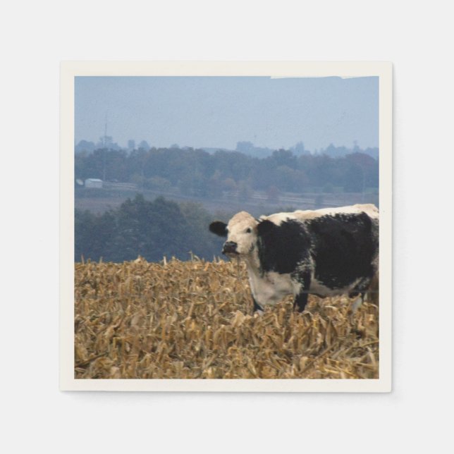 Black and White Cow grazes in freshly ploughed fie Napkin (Front)